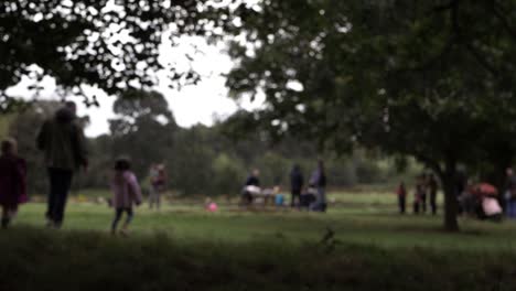 las familias se reúnen en el parque gran angular desenfocado