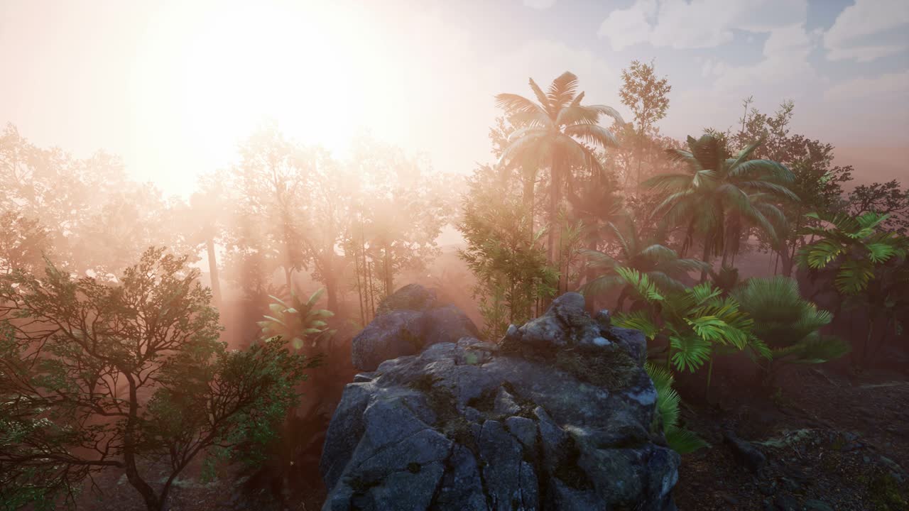 los rayos del atardecer a través de las palmeras