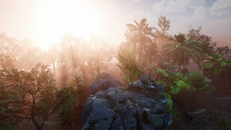 sunset beams through palm trees