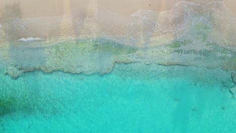 top-down drone overview of clear turquoise water crashing on golden sand beach, serene nature backdrop