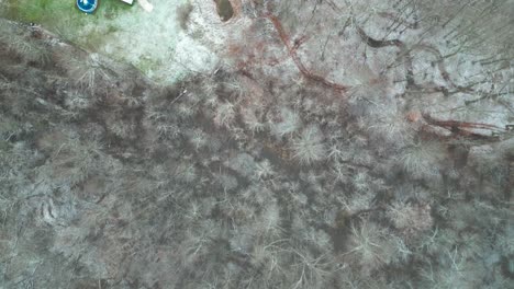 toma cenital de tierra seca en una zona residencial durante la temporada de invierno, warren, ohio, estados unidos