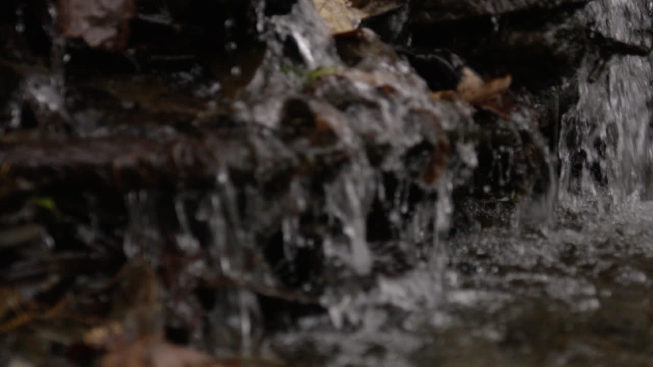 Close up of small stream running through woodland area