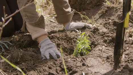 mãos de um ativista plantando árvores na floresta enquanto outro colega de trabalho usando uma pá para preparar a terra