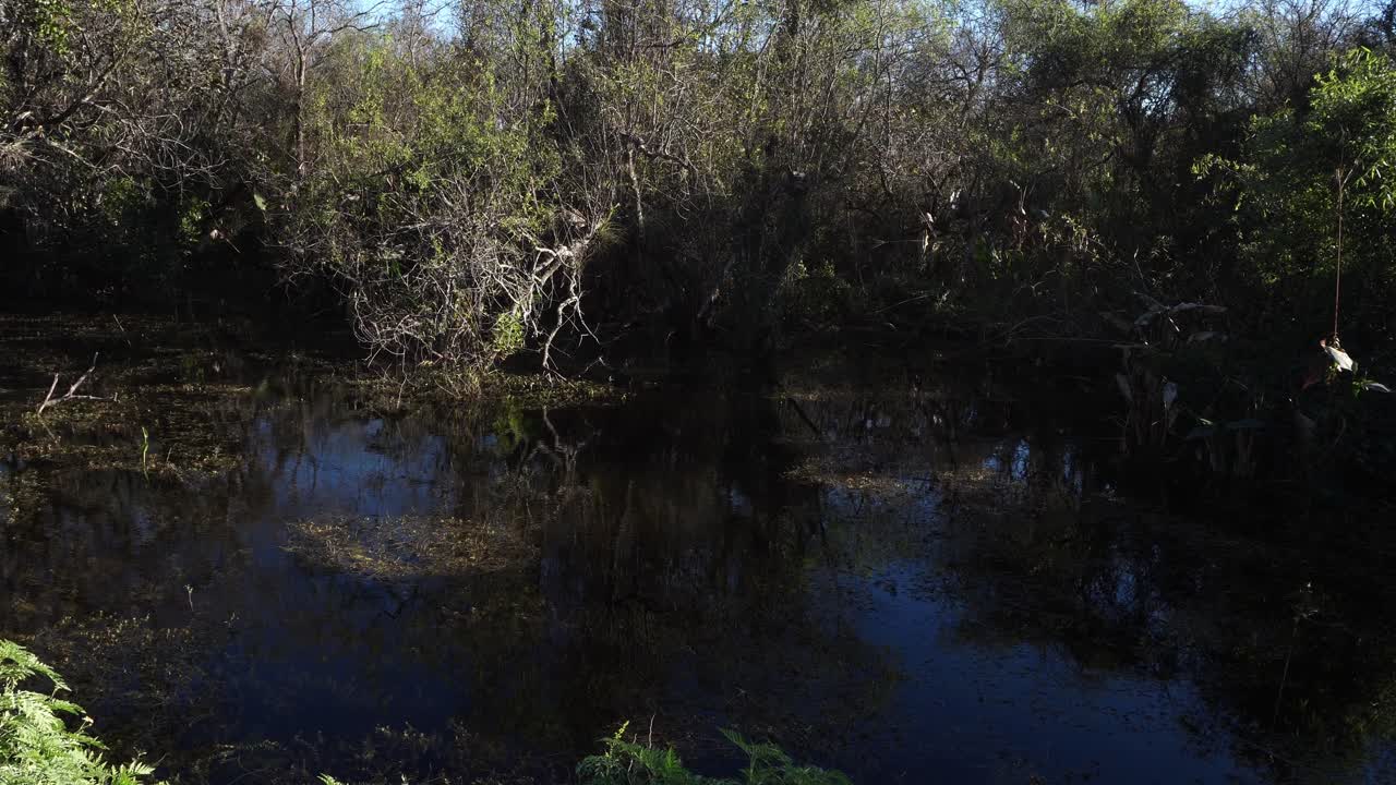 Una magnífica masa de agua con el reflejo de los árboles de la otra orilla en su superficie. Es verdaderamente una hermosa escena de la naturaleza, muy dinámica y bonita