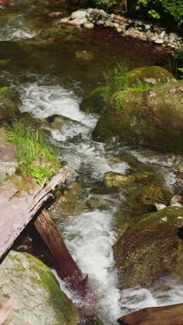 destroyed ground of wooden logs over mountain river with cascades in deep forest slow motion. fast shallow creek with foamy waves runs in touristic park