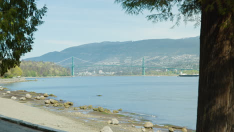 blue colored lions gate bridge seen from stanley park