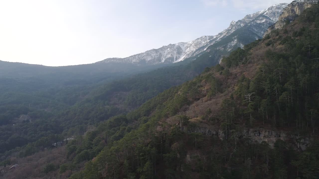 paisaje forestal montañoso con picos cubiertos de nieve