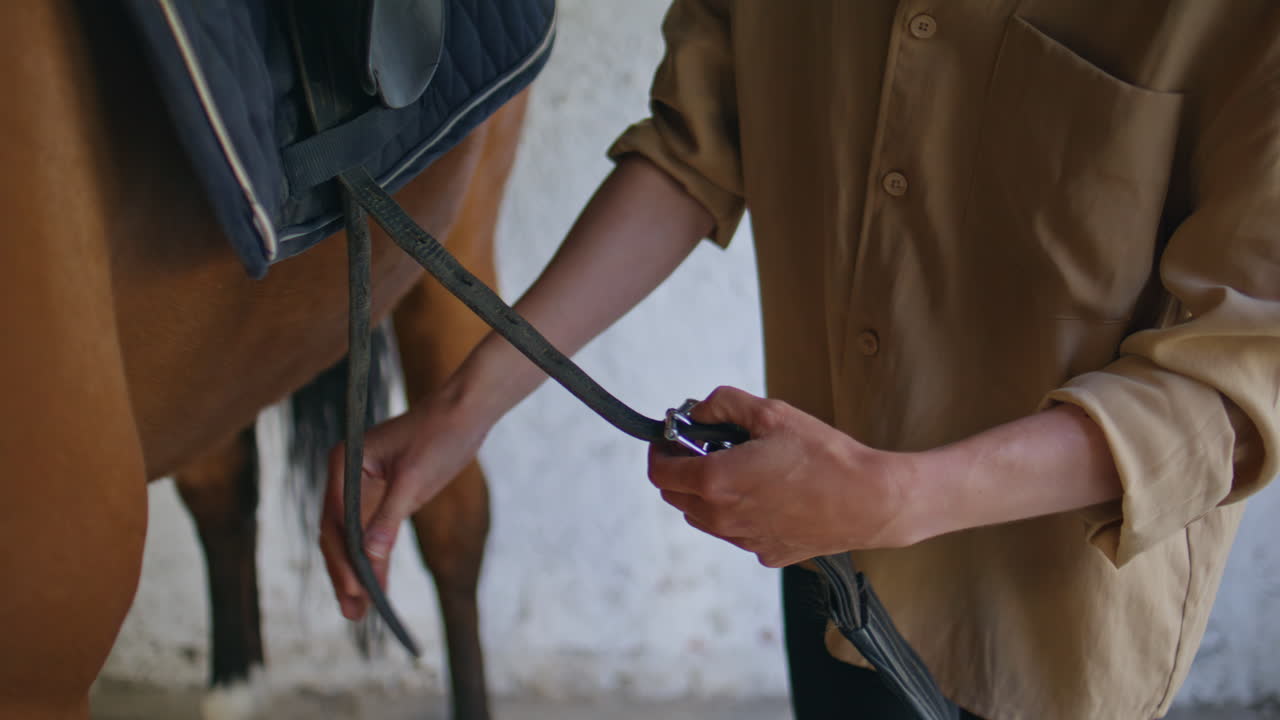 Equestrienne hands fastening stirrup on horse at paddock closeup. Woman animal