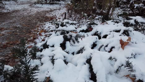 pan up in koerner park berlin covered of snow germany in wintertime pan to right hd 60 fps 5 secs osmo pocket