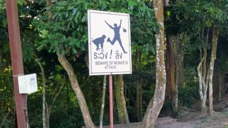 A warning sign about monkey attacks stands prominently in a lush forest setting.