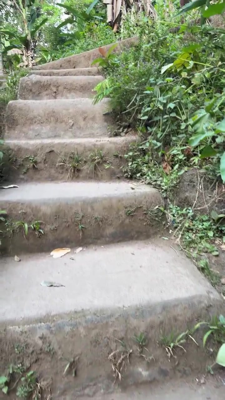 Walking Up Concrete Stairs in a Lush Tropical Garden