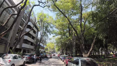 shot of mexico city street at polanco neighborhood at midday