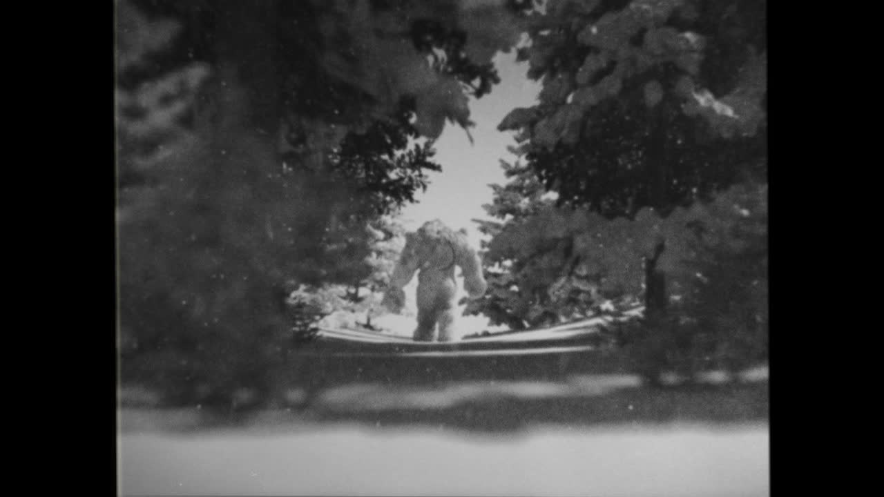 Filmato vintage in bianco e nero di Bigfoot che cammina in una foresta innevata