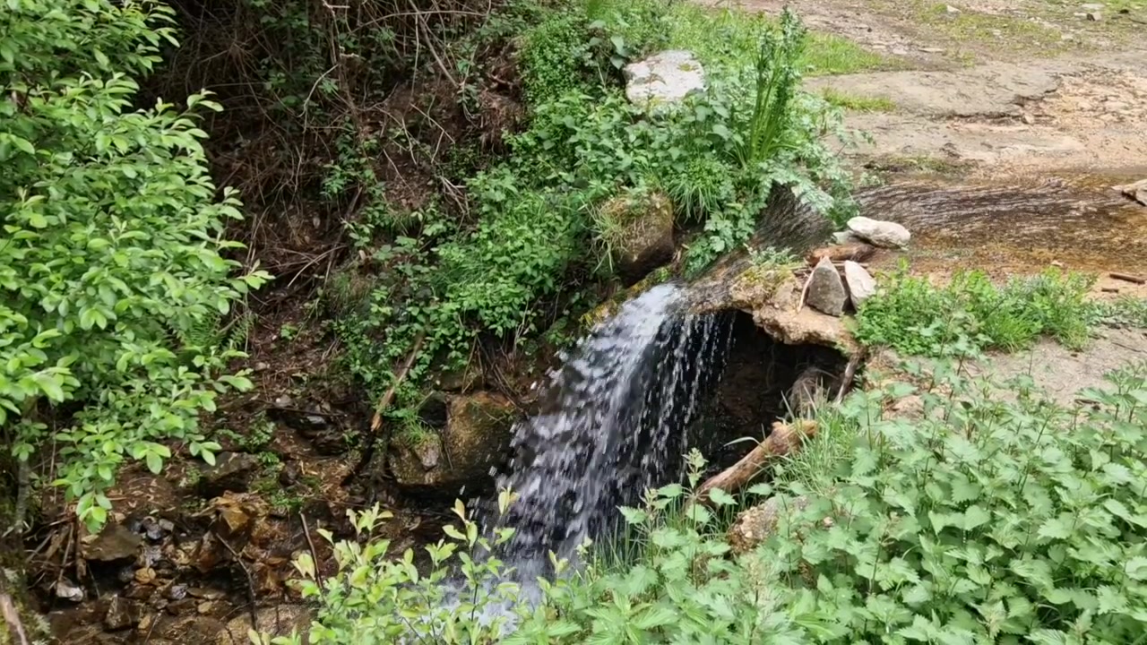 Crystal clear water running down a small cascade over rocks surrounded by vibrant green foliage