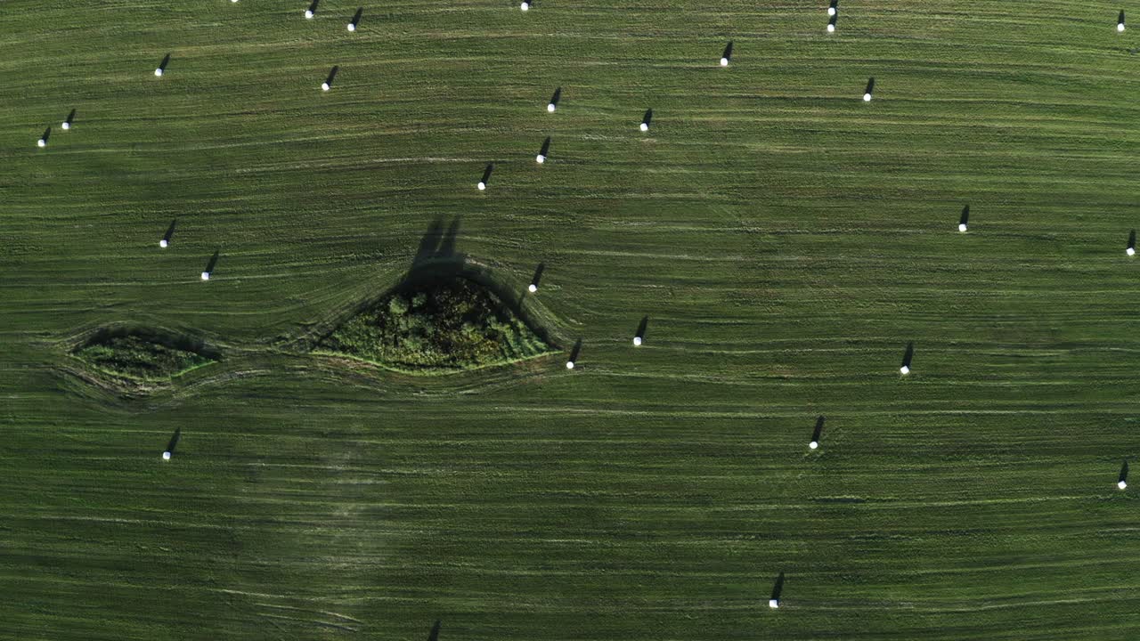 초록색 잔디가 있는 에서 꺼기가. 가을 시간. 드론에서 공중에서 볼 수 있는 모습