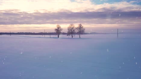 tree silhouette in rural landscape during deep cold freezing winter snowfall