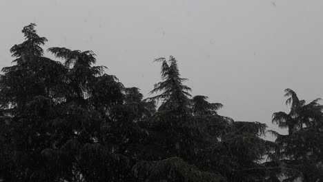 Schneefall-In-Der-Stadt-Bologna,-Italien