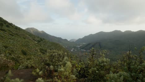 lush vegetation and mountains of north tenerife, canary islands in spring