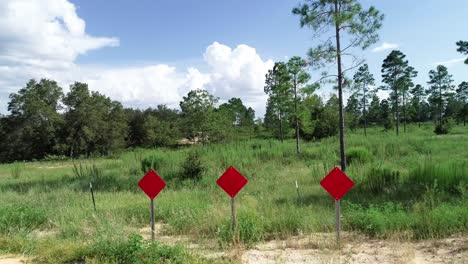 a dead-end road leads to a pine scrub forest