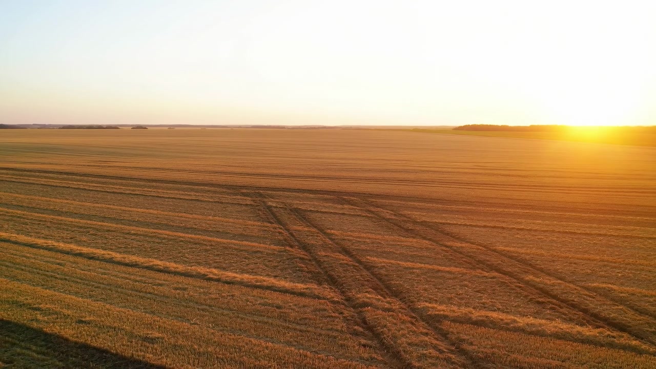 Luftaufnahme eines ruhigen Sonnenuntergangs über einem Feld mit Pflanzen und einem fernen Horizont, die friedliche und beschauliche Naturkulisse mit goldenen und orangefarbenen Farbtönen einfangend, mit einem ruhigen und klaren Blick auf die Sonne.