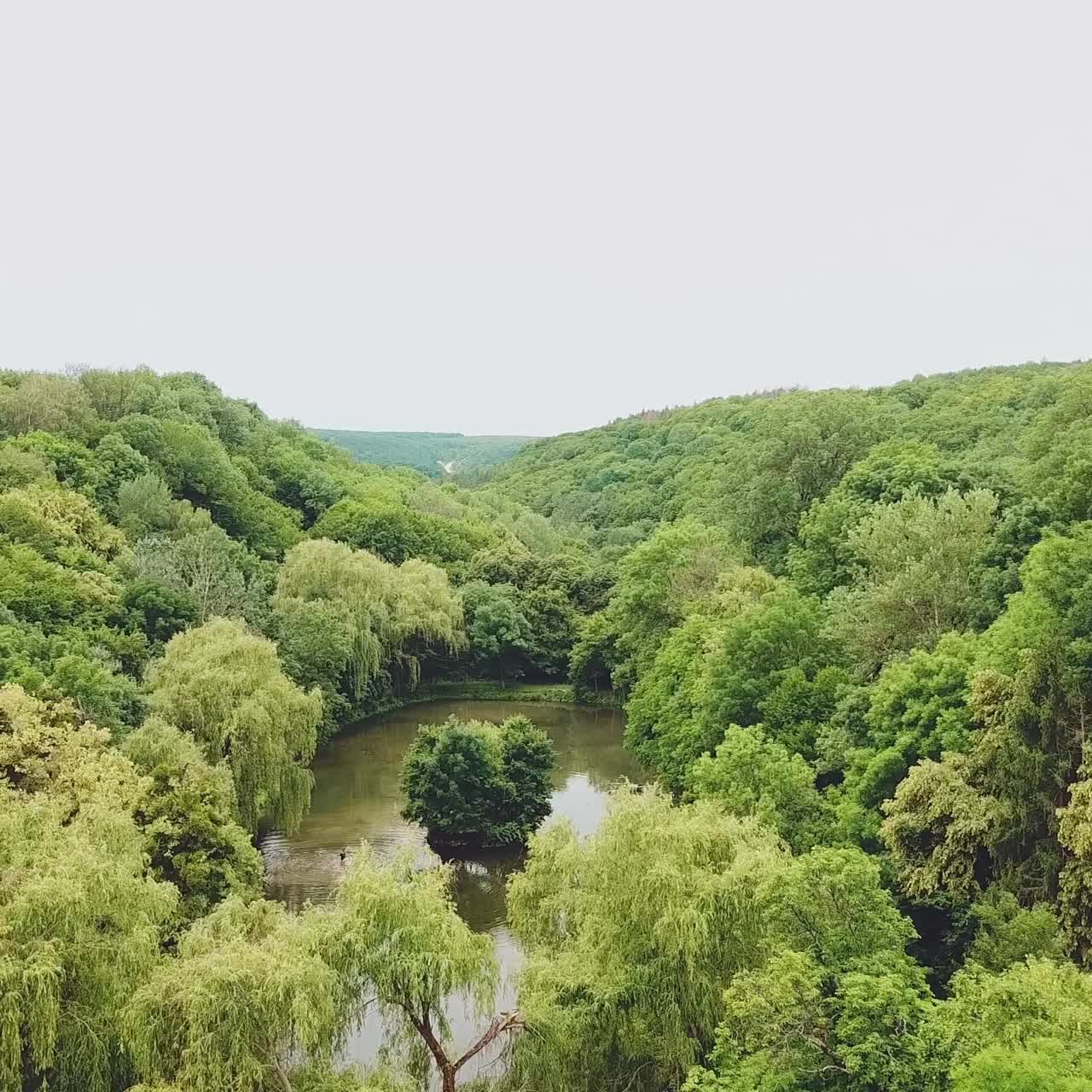 view of the lake with forest around. Aerial view. Scenic landscape. Camera motion forward