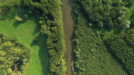 Aerial-overhead-following
shot-of-the-confluence-of-the-rivers-Morava-and-Dyje-on-the-borders-of-Czech-Republic,-Slovakia-and-Austria