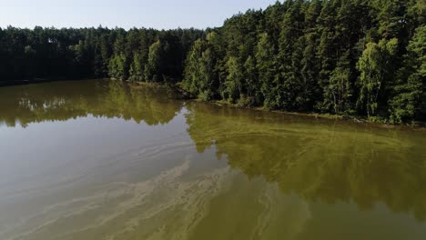 Aerial-view-of-Kashubian-Lake-Pomeranian-Voivodeship-Poland-with-evergreen-scenic-pine-tree-natural-forest,-unpolluted-landscape-countryside-in-europe