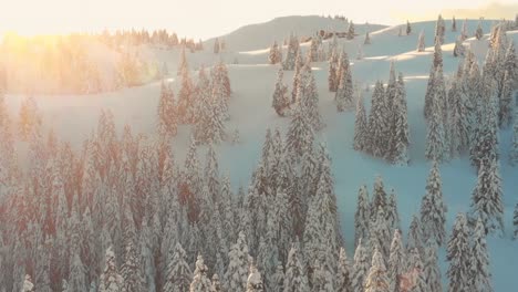 Puesta-De-Sol-Sobre-La-Cima-De-La-Colina-Que-Da-Como-Resultado-Un-Asombroso-País-De-Las-Maravillas-Invernal-Con-Múltiples-Pinos-Verdes-Cubiertos-De-Nieve-Blanca