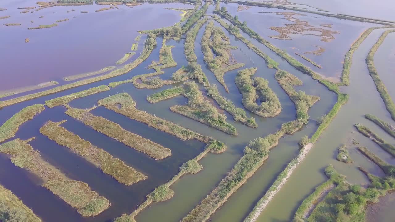 vuelo de drones sobre pantanos y campos inundados