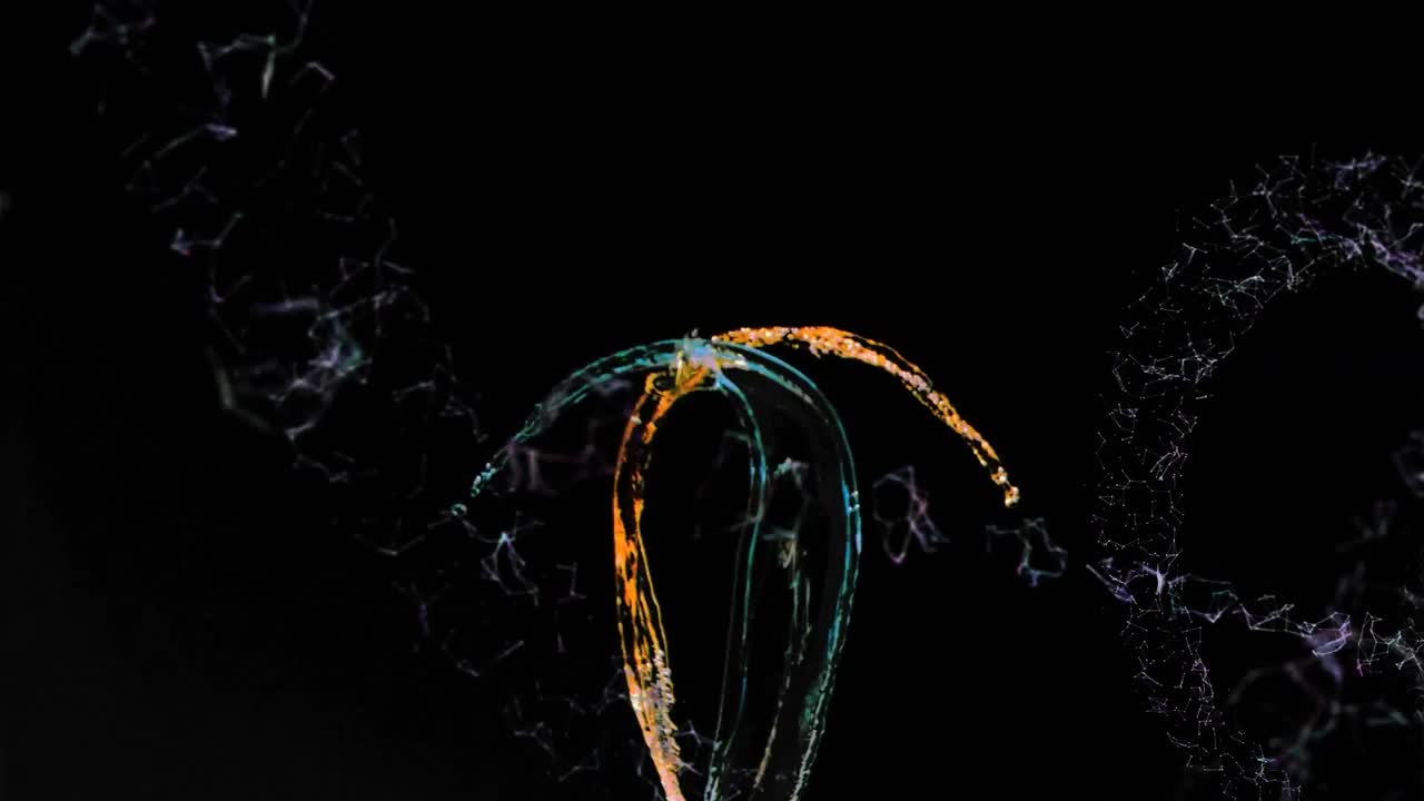 Multi coloured splashes against black background