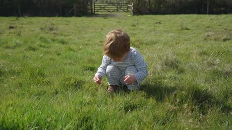 toddler boy crouches to pick yellow dandelion flowers in field, in front