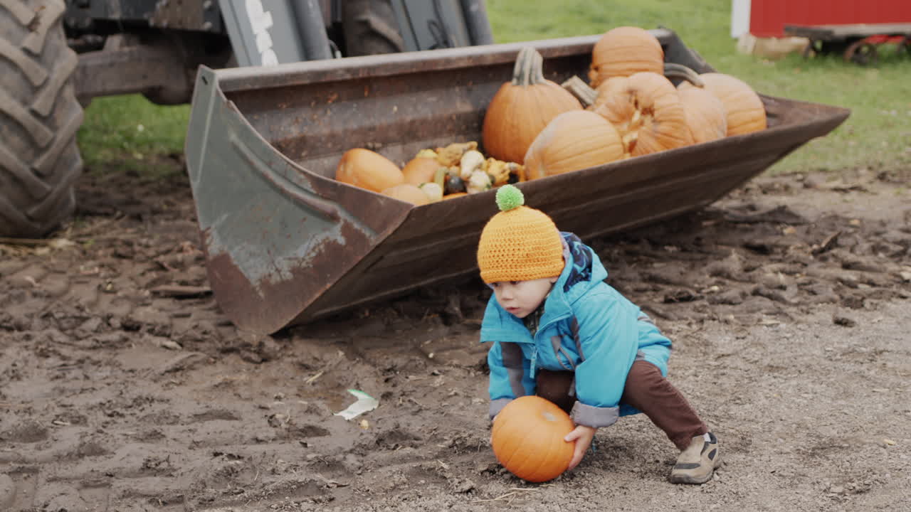 un niño está tratando de poner una calabaza en el cubo de una excavadora. entretenimiento en la feria de halloween