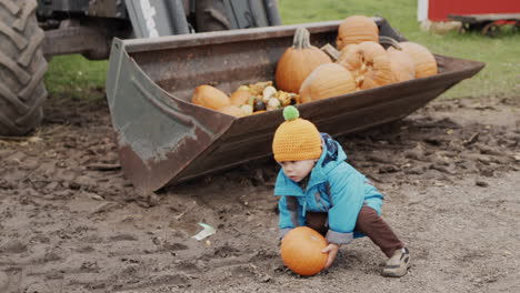 A-little-boy-is-trying-to-put-a-pumpkin-into-the-bucket-of-an-excavator.-Entertainment-at-the-Halloween-Fair