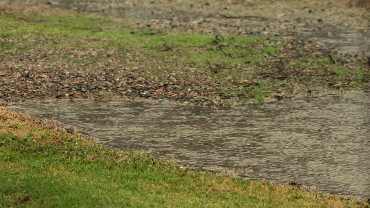 Heavy Rain Flooding Gravel Footpath Close Up, Bad Weather Overcast Daytime, Maffra, Gippsland, Victoria, Australia