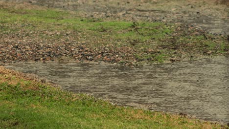 heavy rain flooding gravel footpath close up, bad weather overcast daytime, maffra, gippsland, victoria, australia