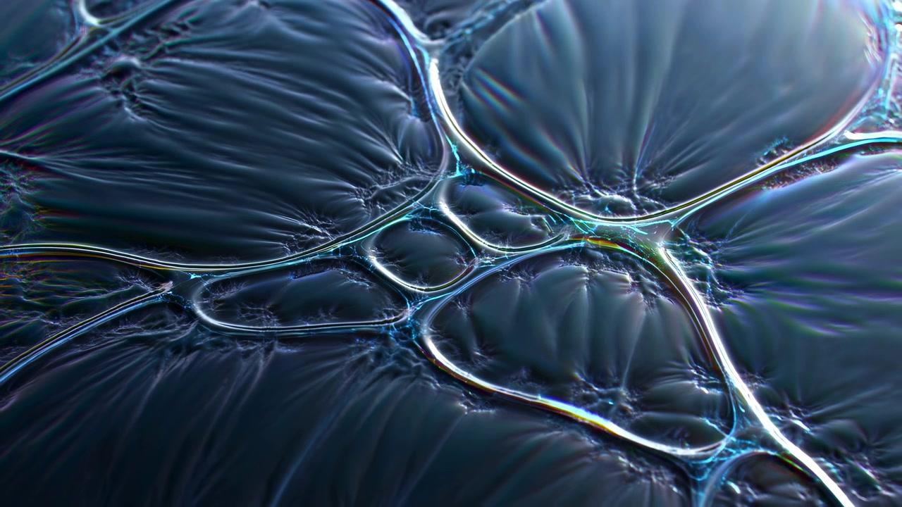 Una vista microscopica ravvicinata di neuroni in un contesto scientifico educativo, che evidenzia la loro intricata struttura con una sorprendente palette di colori blu e bianco