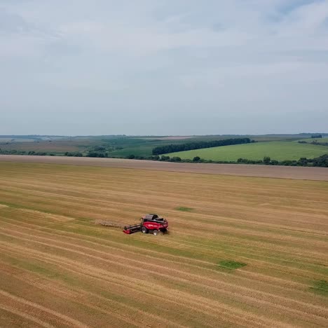 grain harvest. agricultural machinery for harvesting grain in action. aerial view.