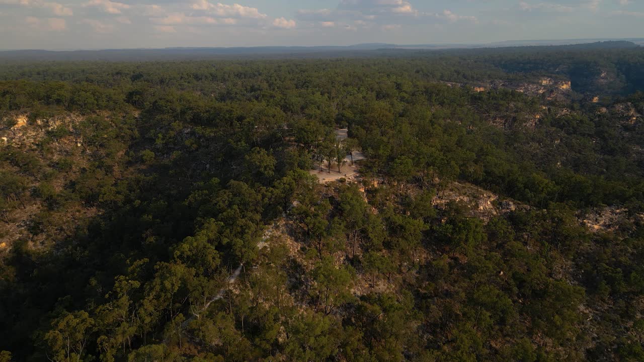 Vista aerea di un rigoglioso paesaggio forestale in Australia