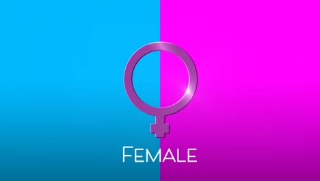 Animación-Del-Símbolo-De-Género-Femenino,-En-Rosa-Y-Azul