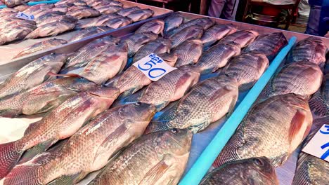 rows of tilapia fish for sale on a market table