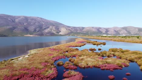 Laguna-Pasha-Liman-En-Orikum,-Albania---Antena-De-Humedales-Costeros-Rosados