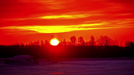 hermoso amanecer naranja sobre un paisaje invernal