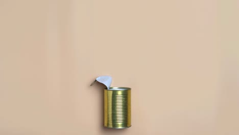 캔에 넣은 채소, 보존 개념