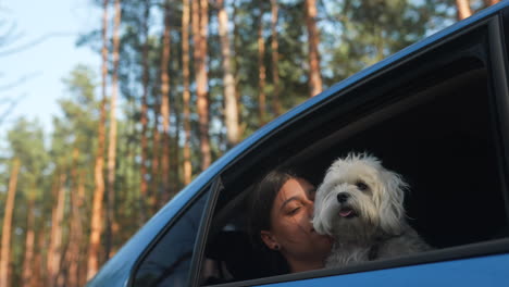 woman and dog in car window, forest scene