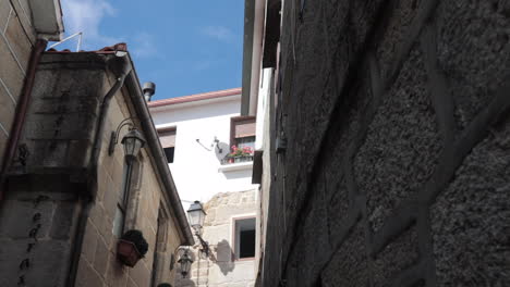 narrow street in old town