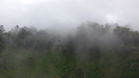 Aerial-flight-in-clouds-over-a-primary-tropical-rainforest,-foggy-and-mystic.