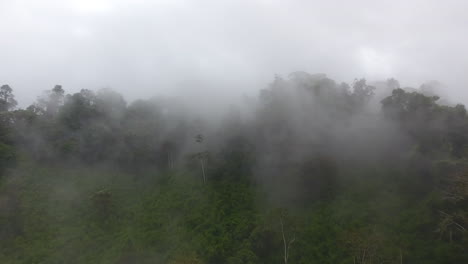 aerial flight in clouds over a primary tropical rainforest, foggy and mystic.