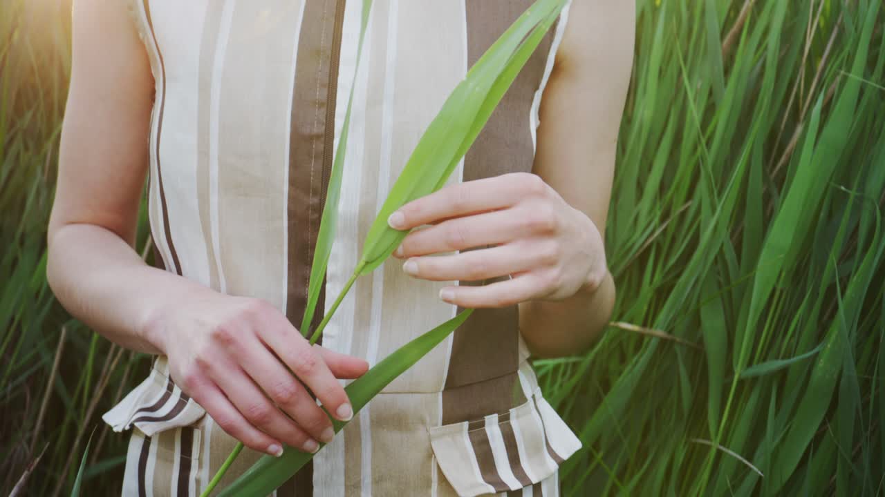 A close-up shot focusing on a woman's hands as she gently holds and feels a long green reed leaf. She stands in a lush field, creating a sense of calm, sensory connection with nature.
