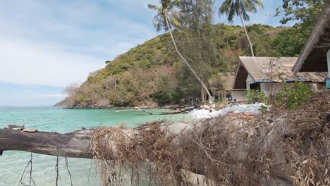 Large-decaying-tree-trunk-resting-next-to-Koh-Hey-Beach-Resort---Wide-push-in-overview-shot