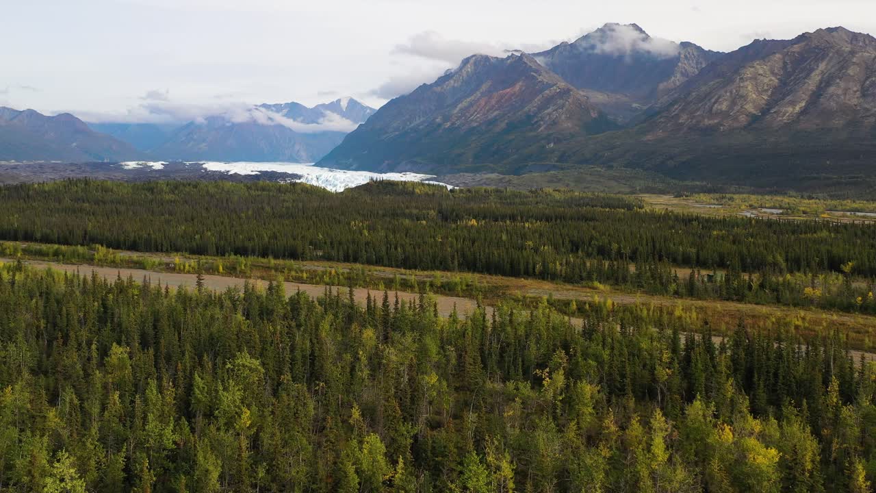 Sorvolo aereo delle cime di una foresta di abeti nella valle di Portage con vista sulle maestose montagne Philip Smith della catena Brooks in Alaska